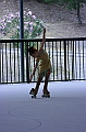 Silvia (18)